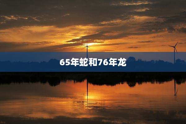 65年蛇和76年龙