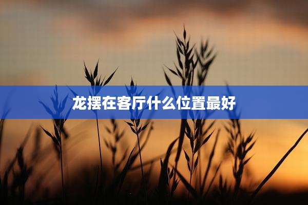 龙摆在客厅什么位置最好