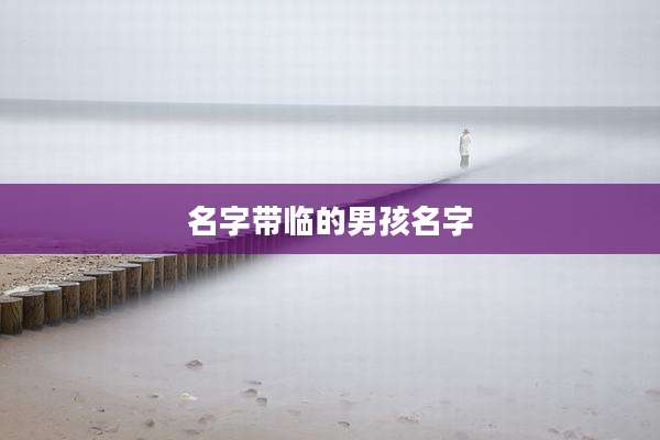 名字带临的男孩名字
