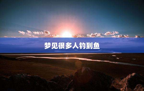 梦见很多人钓到鱼