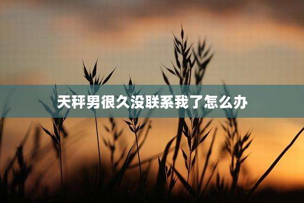 天秤男很久没联系我了怎么办