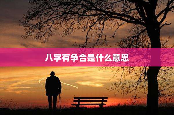 八字有争合是什么意思