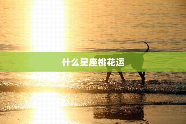 什么星座桃花运