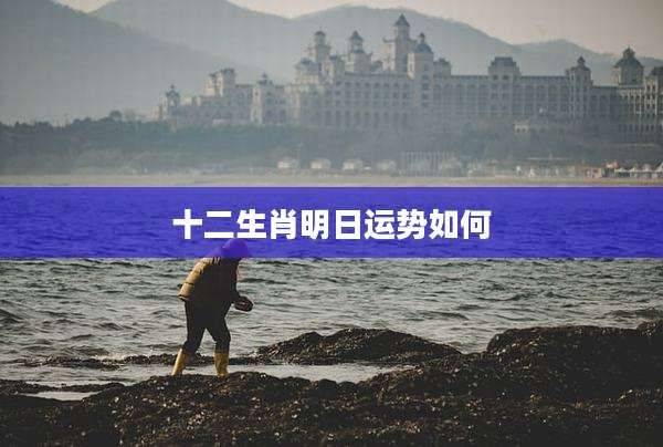 十二生肖明日运势如何