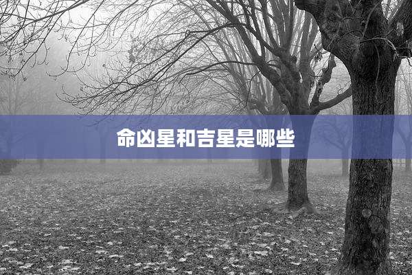 命凶星和吉星是哪些
