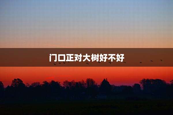 门口正对大树好不好