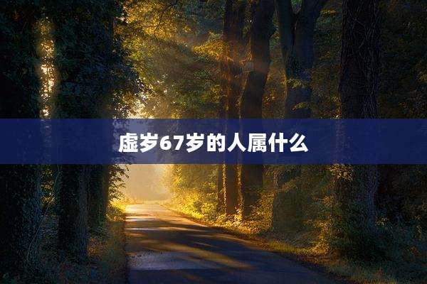 虚岁67岁的人属什么