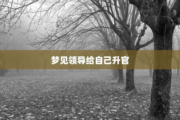 梦见领导给自己升官