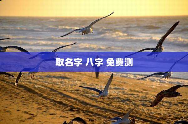 取名字 八字 免费测