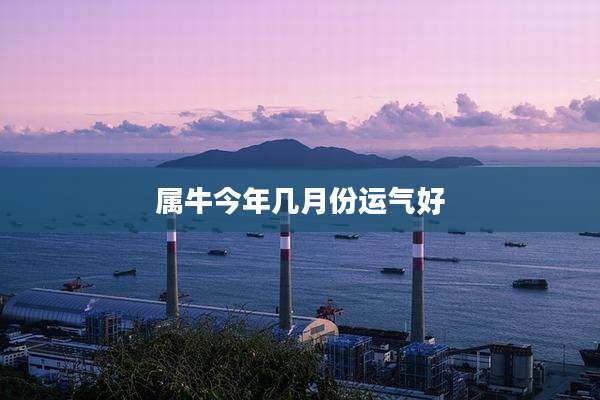 属牛今年几月份运气好
