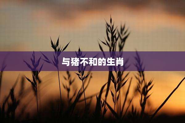 与猪不和的生肖