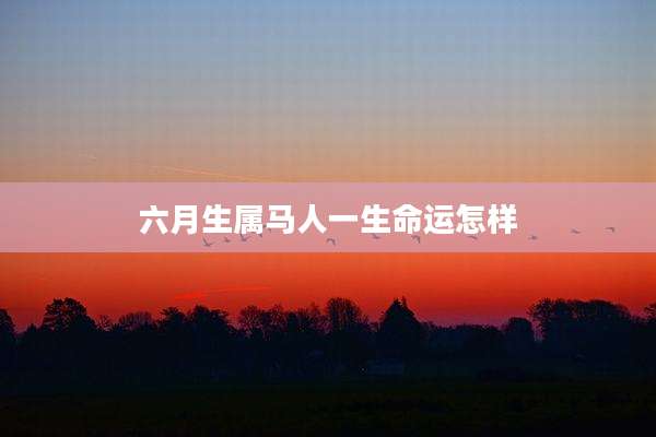 六月生属马人一生命运怎样