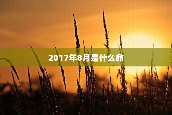 2017年8月是什么命