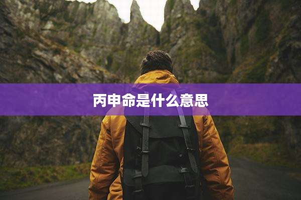 丙申命是什么意思