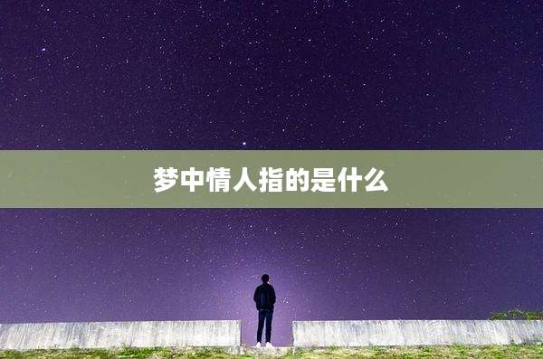 梦中情人指的是什么