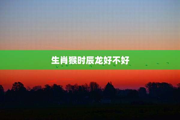 生肖猴时辰龙好不好