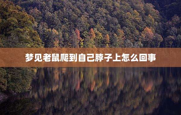 梦见老鼠爬到自己脖子上怎么回事