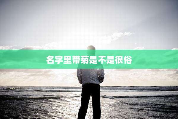 名字里带菊是不是很俗