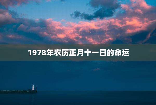 1978年农历正月十一日的命运