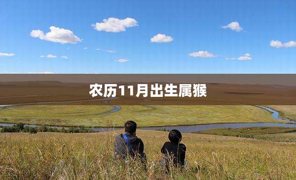 农历11月出生属猴