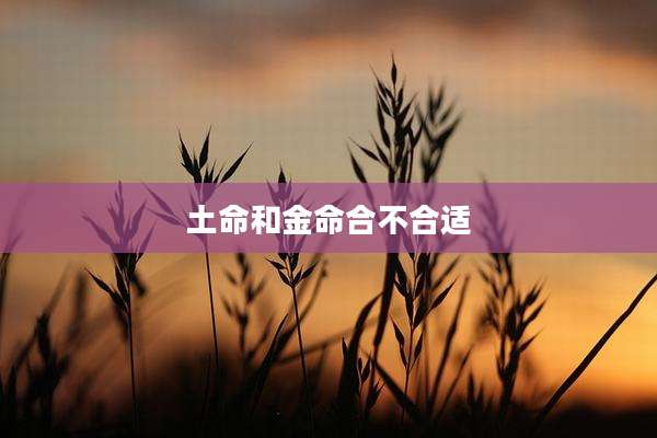 土命和金命合不合适