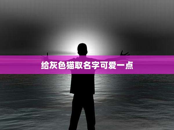 给灰***取名字可爱一点