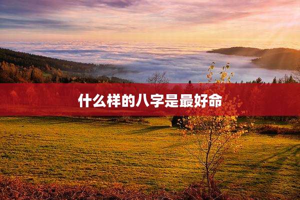 什么样的八字是最好命