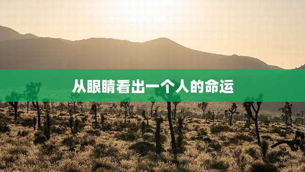 从眼睛看出一个人的命运