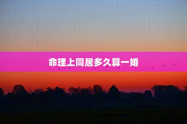 命理上同居多久算一婚