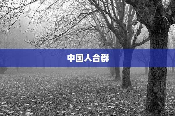 中国人合群