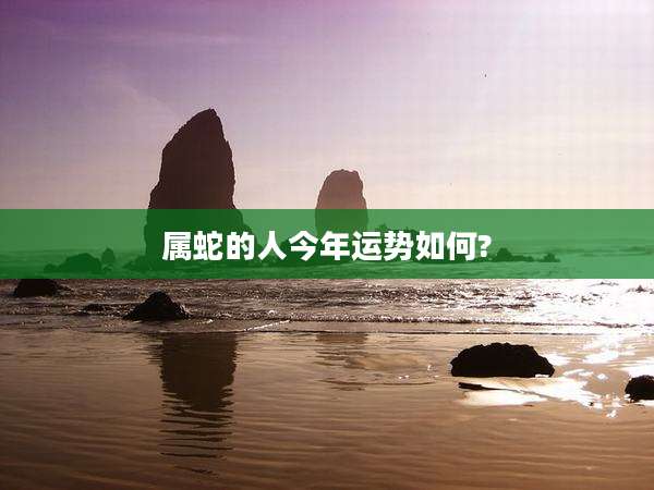 属蛇的人今年运势如何?