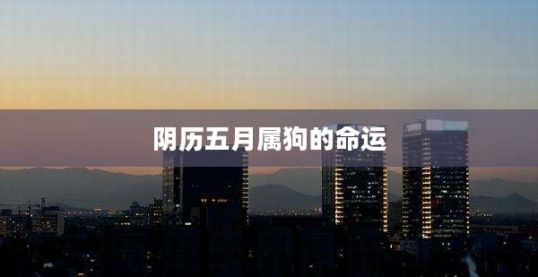阴历五月属狗的命运