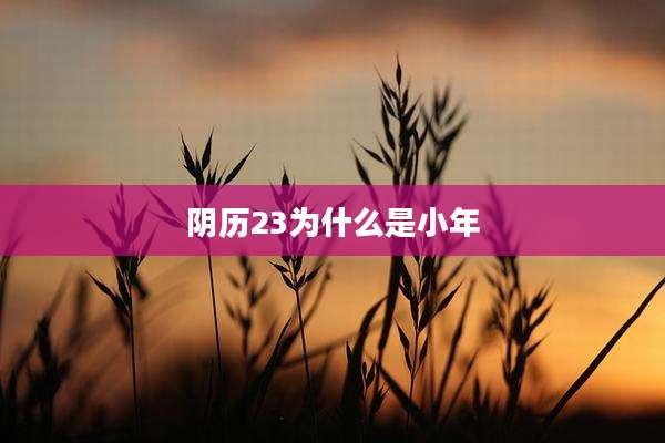 阴历23为什么是小年