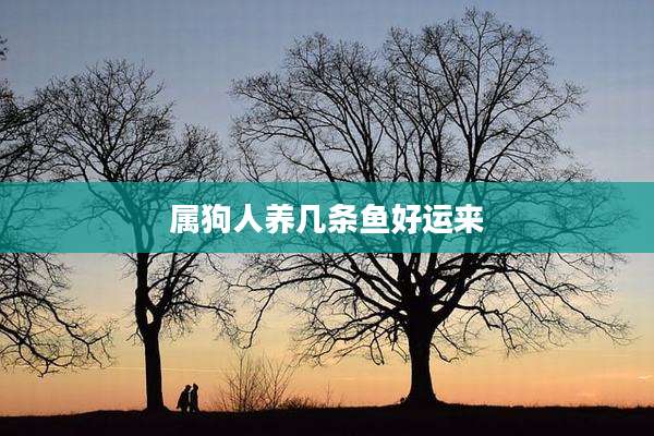 属狗人养几条鱼好运来