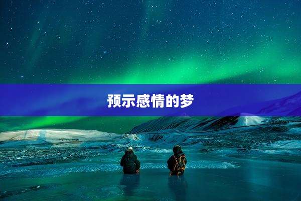 预示感情的梦