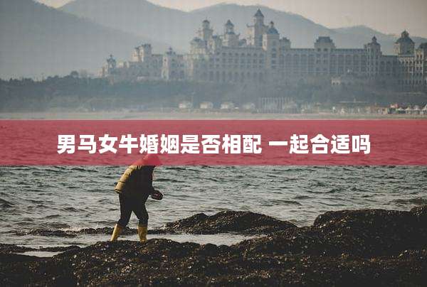 男马女牛婚姻是否相配 一起合适吗