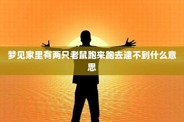 梦见家里有两只老鼠跑来跑去逮不到什么意思