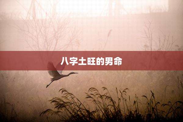 八字土旺的男命