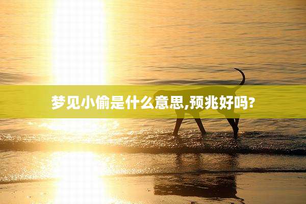 梦见小偷是什么意思,预兆好吗?