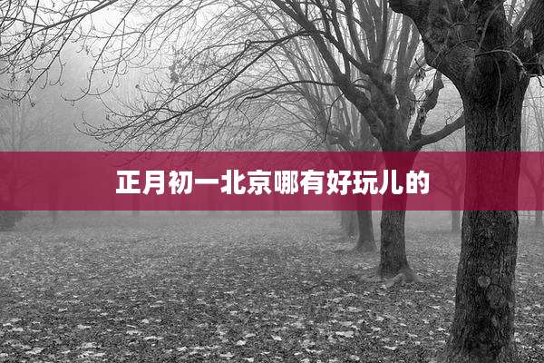 正月初一北京哪有好玩儿的