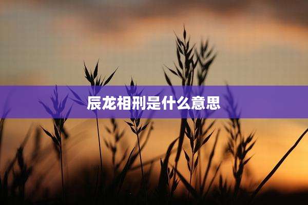 辰龙相刑是什么意思