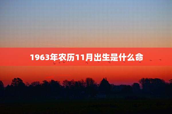 1963年农历11月出生是什么命