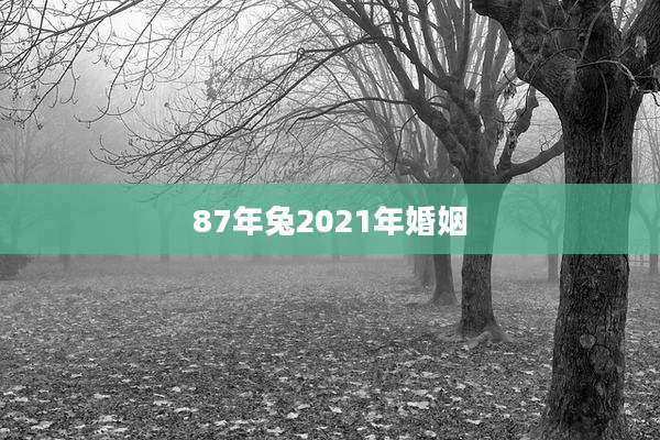 87年兔2021年婚姻