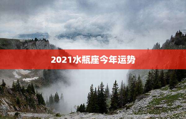 2021水瓶座今年运势