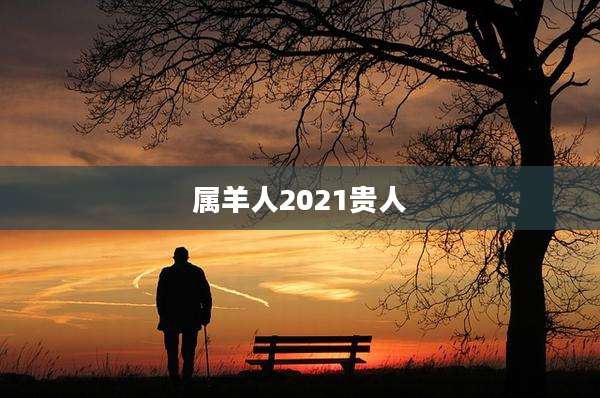 属羊人2021贵人