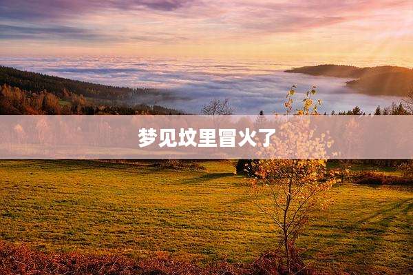 梦见坟里冒火了