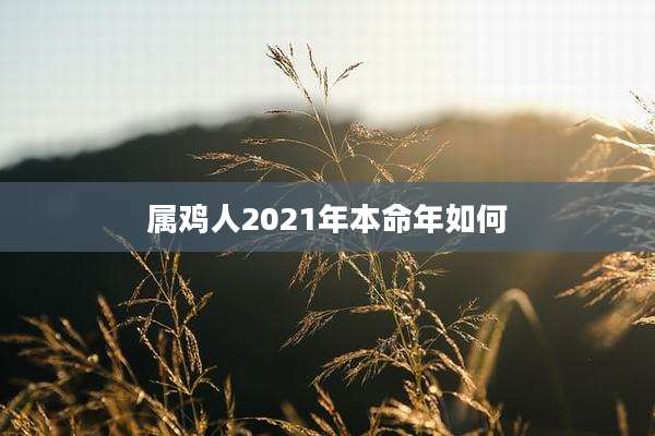属鸡人2021年本命年如何