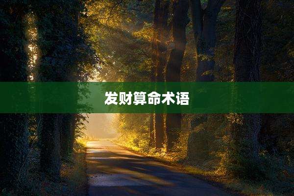 发财算命术语