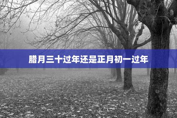 腊月三十过年还是正月初一过年