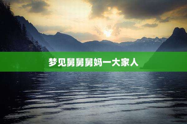 梦见舅舅舅妈一大家人